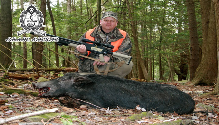 بهترین تفنگ بادی برای شکار گراز