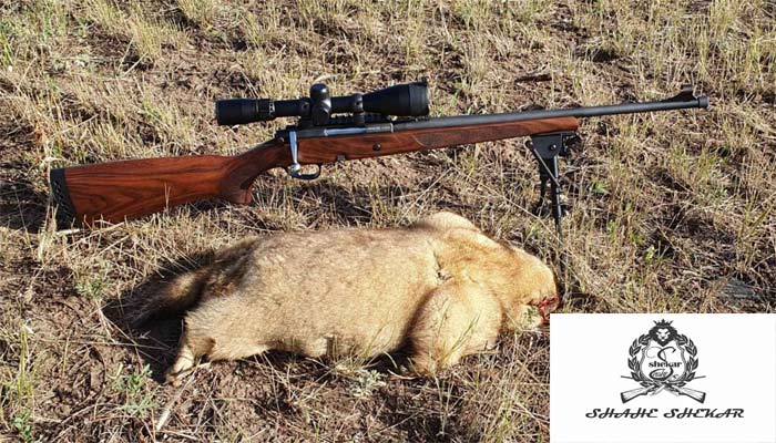 خرید تفنگ مناسب شکار